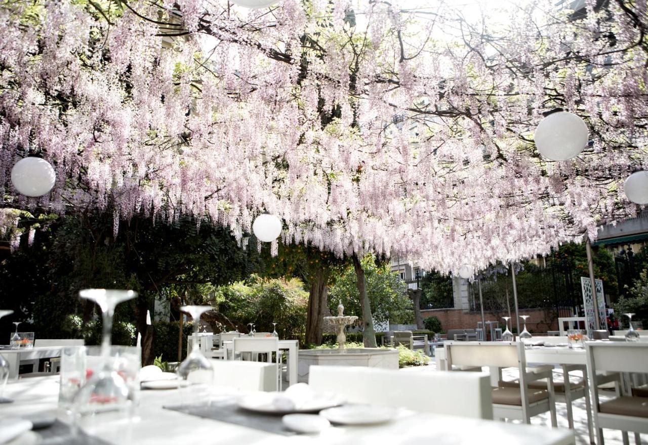 Hospes Palacio De Los Patos, A Member Of Design Hotels Grenade Extérieur photo The Wisteria Tree